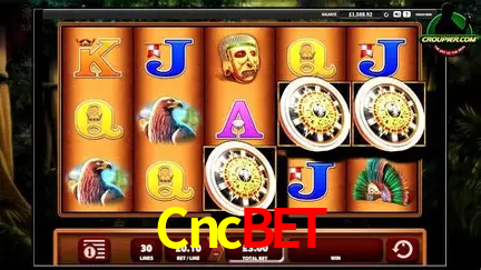 Apostas Esportivas na Cncbet: Um Guia Completo
